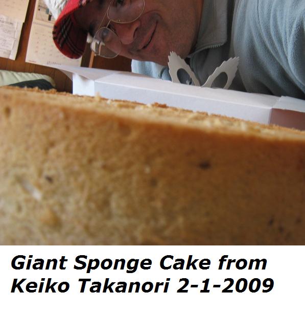 sponge-cake-from-keiko-takamori-february-1-2009-4.jpg